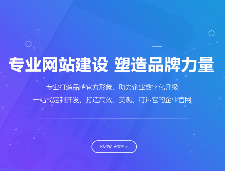 黔西南建站-专业网站建设 塑造品牌力量